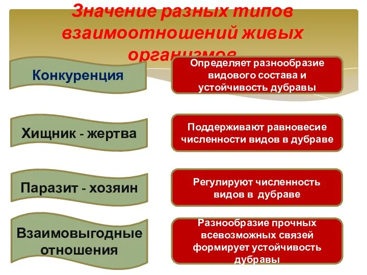 Значение разных типов взаимоотношений живых организмов Хищник - жертва Конкуренция Паразит -