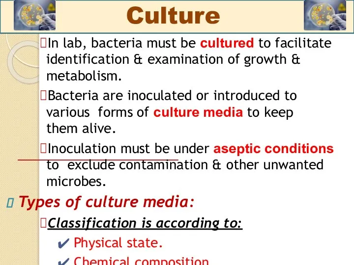 ⮚In lab, bacteria must be cultured to facilitate identification & examination of