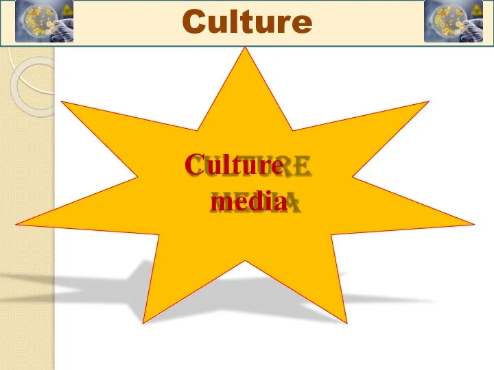 Culture Culture media