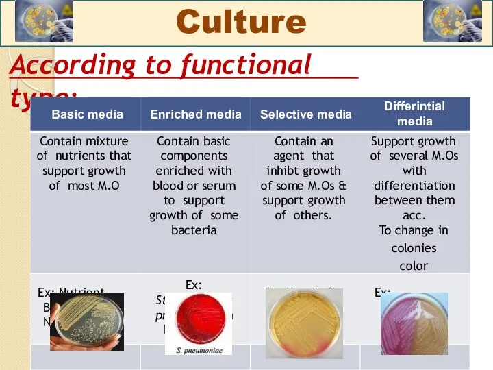 According to functional type: Culture