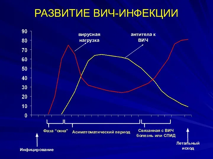 РАЗВИТИЕ ВИЧ-ИНФЕКЦИИ