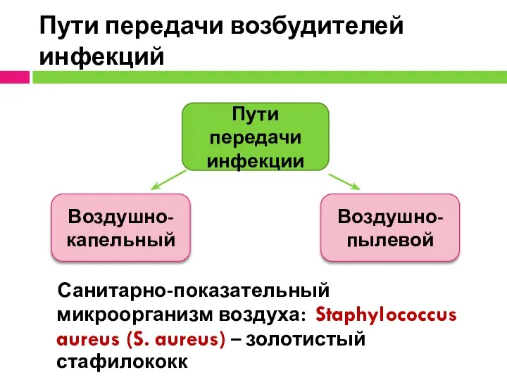 Пути передачи возбудителей инфекций Санитарно-показательный микроорганизм воздуха: Staphylococcus aureus (S. aureus) –