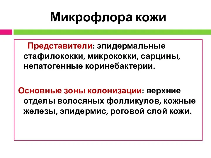 Микрофлора кожи Представители: эпидермальные стафилококки, микрококки, сарцины, непатогенные коринебактерии. Основные зоны колонизации: