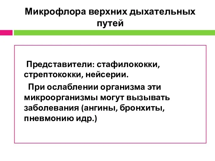 Микрофлора верхних дыхательных путей Представители: стафилококки, стрептококки, нейсерии. При ослаблении организма эти