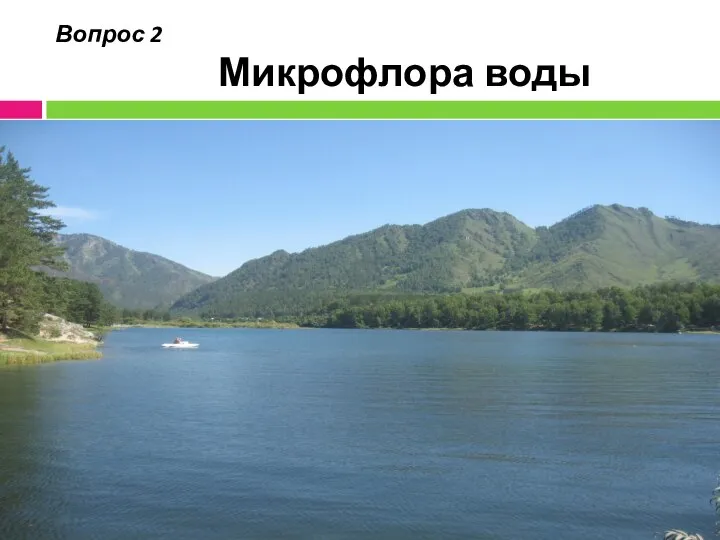 Вопрос 2 Микрофлора воды