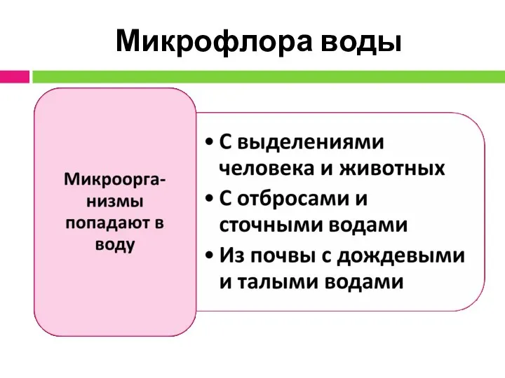 Микрофлора воды