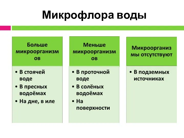 Микрофлора воды