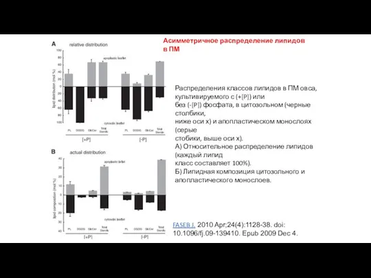 Распределения классов липидов в ПМ овса, культивируемого с (+[P]) или без (-[P])