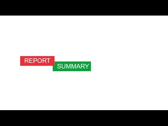 REPORT SUMMARY