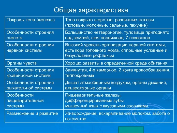 Тело покрыто шерстью, различные железы (потовые, молочные, сальные, пахучие) Большинство четвероногие, туловище