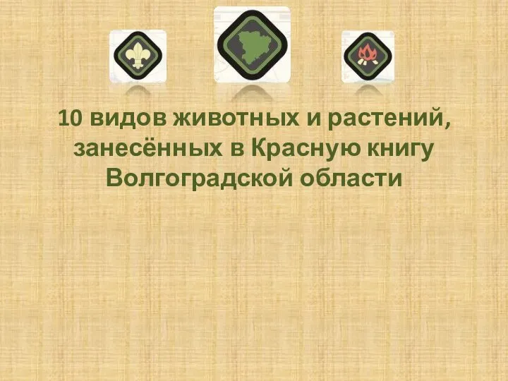 10 видов животных и растений, занесённых в Красную книгу Волгоградской области