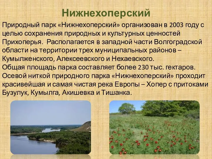 Нижнехоперский Природный парк «Нижнехоперский» организован в 2003 году с целью сохранения природных