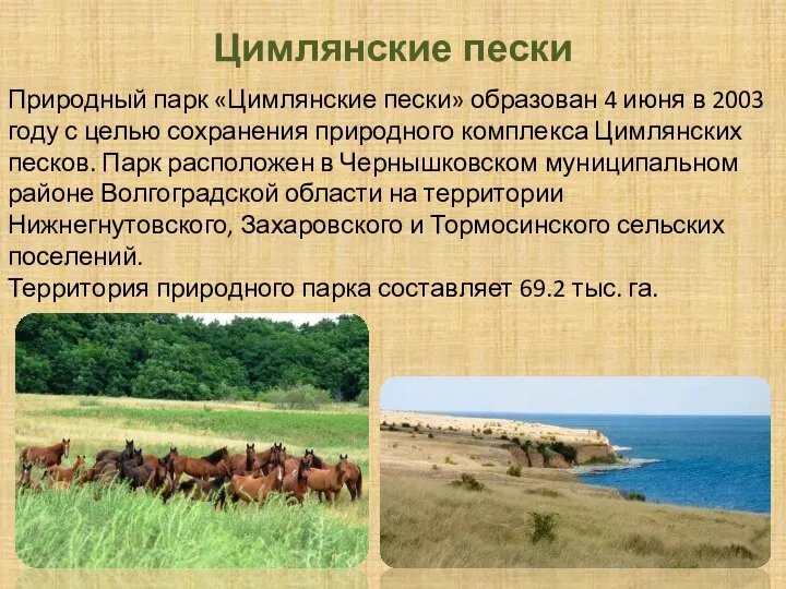 Цимлянские пески Природный парк «Цимлянские пески» образован 4 июня в 2003 году