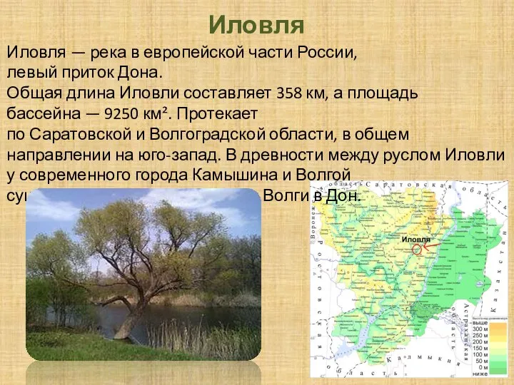 Иловля Иловля — река в европейской части России, левый приток Дона. Общая