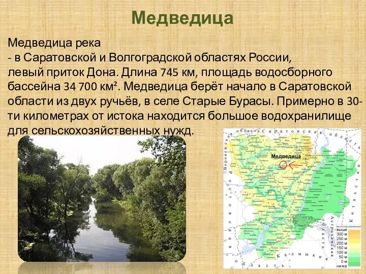 Медведица Медведица река - в Саратовской и Волгоградской областях России, левый приток
