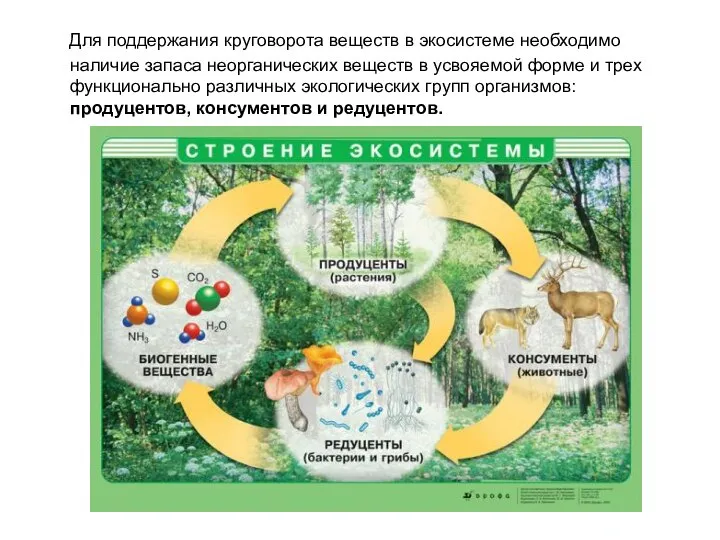 Для поддержания круговорота веществ в экосистеме необходимо наличие запаса неорганических веществ в
