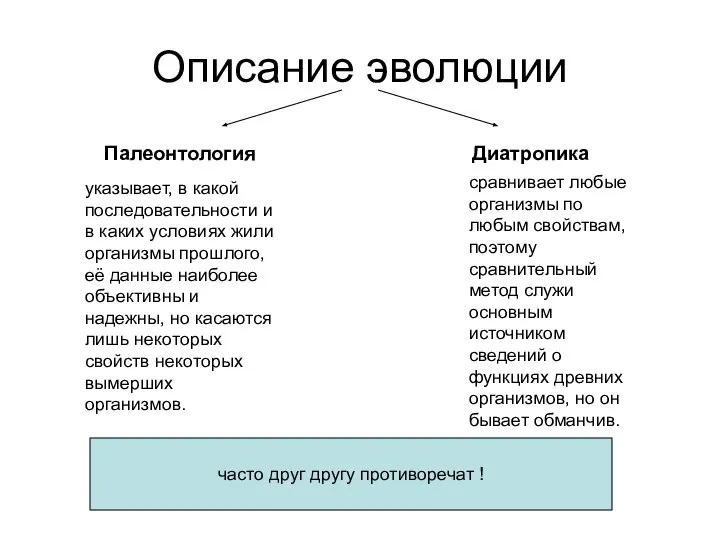 Описание эволюции Палеонтология Диатропика указывает, в какой последовательности и в каких условиях