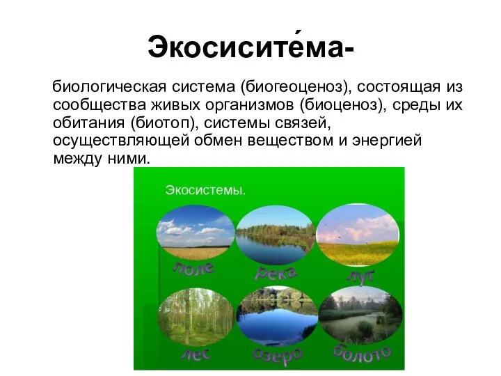 Экосисите́ма- биологическая система (биогеоценоз), состоящая из сообщества живых организмов (биоценоз), среды их