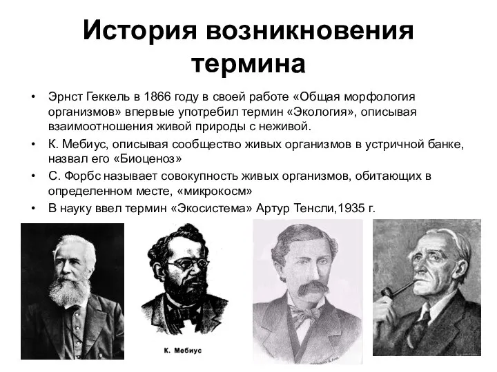 История возникновения термина Эрнст Геккель в 1866 году в своей работе «Общая