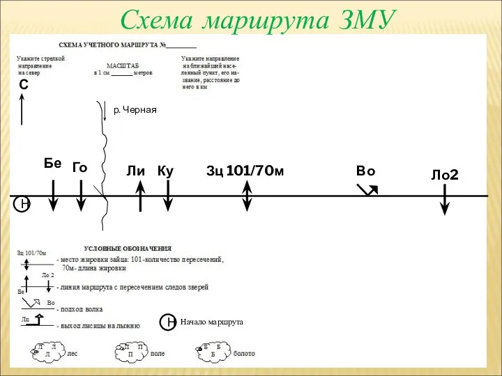 Схема маршрута ЗМУ Н Н Начало маршрута Бе Го Зц 101/70м Ли