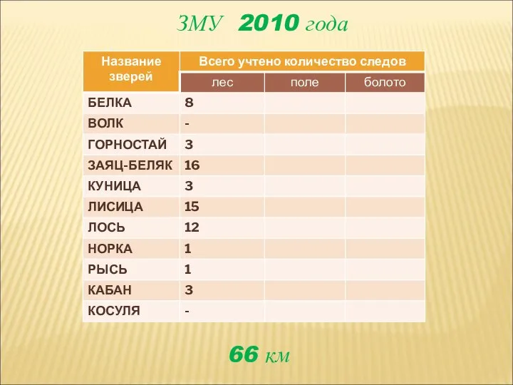 ЗМУ 2010 года 66 км