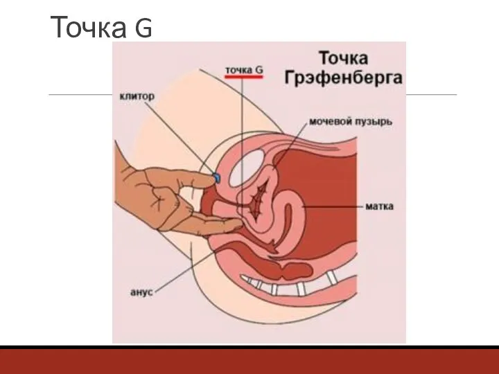 Точка G