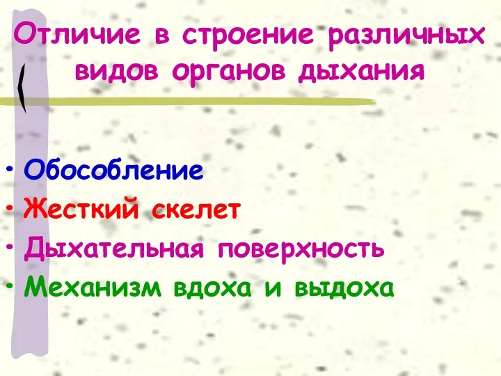 Отличие в строение различных видов органов дыхания Обособление Жесткий скелет Дыхательная поверхность Механизм вдоха и выдоха