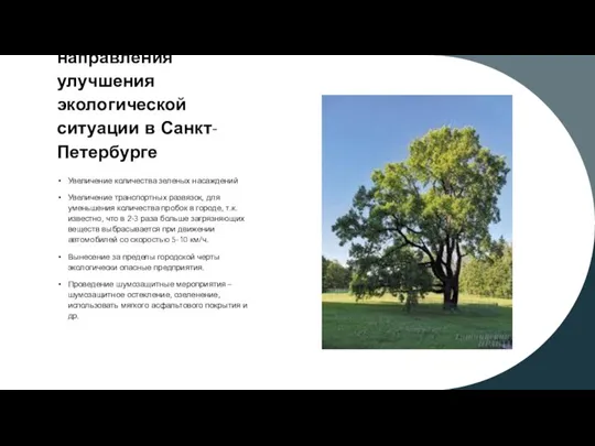 Основные направления улучшения экологической ситуации в Санкт-Петербурге Увеличение количества зеленых насаждений Увеличение