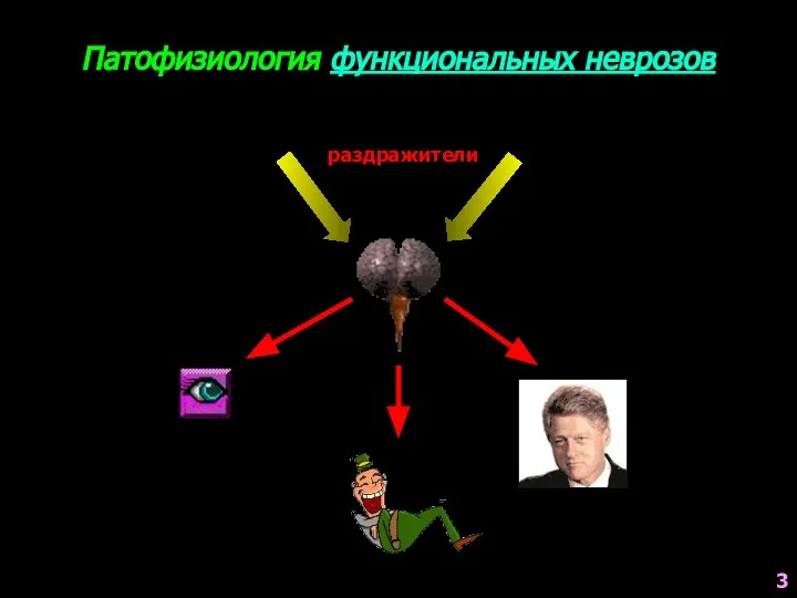 Патофизиология функциональных неврозов раздражители 3