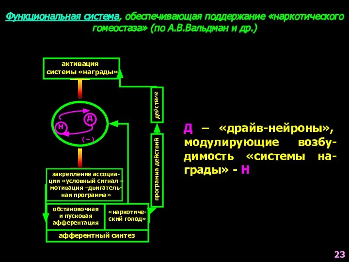 Функциональная система, обеспечивающая поддержание «наркотического гомеостаза» (по А.В.Вальдман и др.) д н