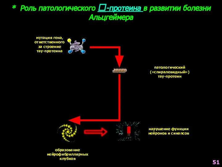 * Роль патологического -протеина в развитии болезни Альцгеймера мутация гена, ответственного за