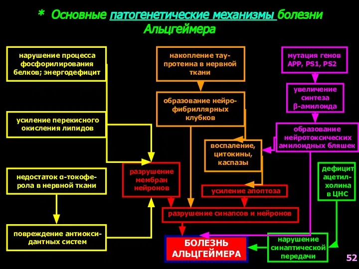 * Основные патогенетические механизмы болезни Альцгеймера нарушение процесса фосфорилирования белков; энергодефицит усиление