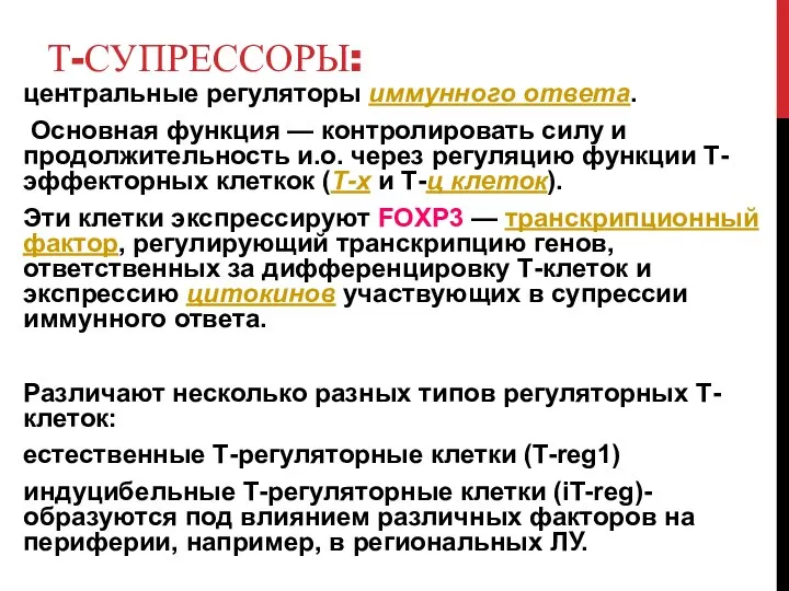 Т-СУПРЕССОРЫ: центральные регуляторы иммунного ответа. Основная функция — контролировать силу и продолжительность