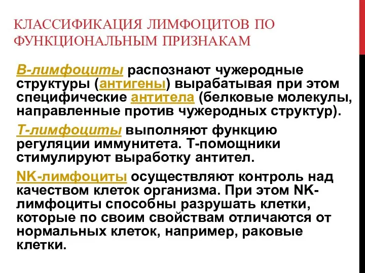 КЛАССИФИКАЦИЯ ЛИМФОЦИТОВ ПО ФУНКЦИОНАЛЬНЫМ ПРИЗНАКАМ В-лимфоциты распознают чужеродные структуры (антигены) вырабатывая при