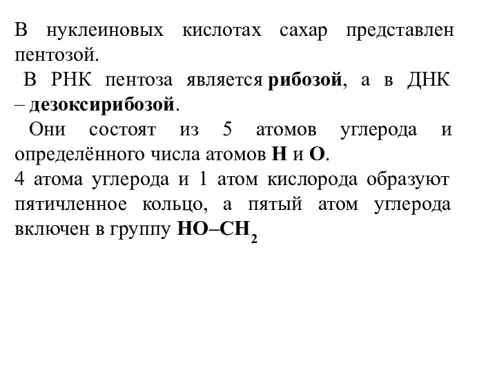 В нуклеиновых кислотах сахар представлен пентозой. В РНК пентоза является рибозой, а