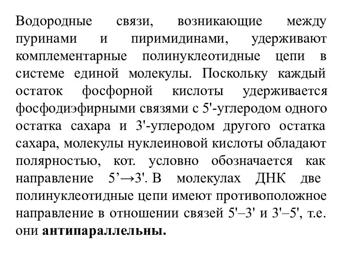 Водородные связи, возникающие между пуринами и пиримидинами, удерживают комплементарные полинуклеотидные цепи в