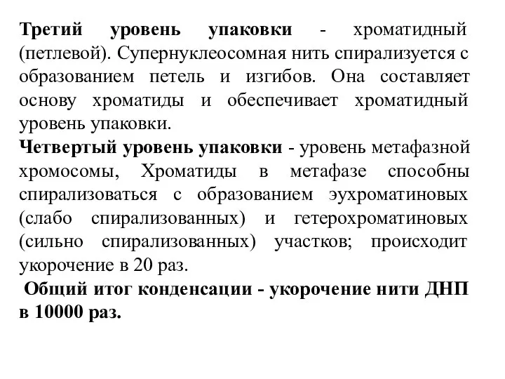 Третий уровень упаковки - хроматидный (петлевой). Супернуклеосомная нить спирализуется с образованием петель