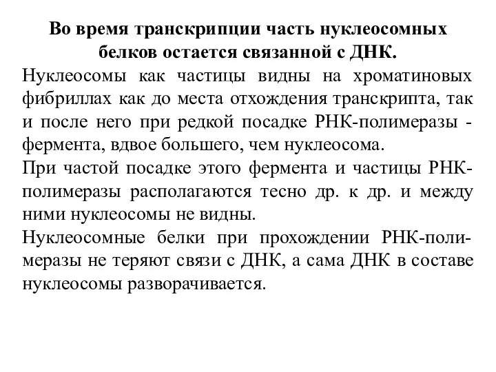 Во время транскрипции часть нуклеосомных белков остается связанной с ДНК. Нуклеосомы как