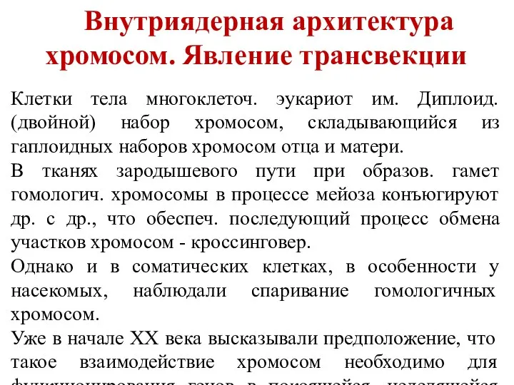 Внутриядерная архитектура хромосом. Явление трансвекции Клетки тела многоклеточ. эукариот им. Диплоид. (двойной)