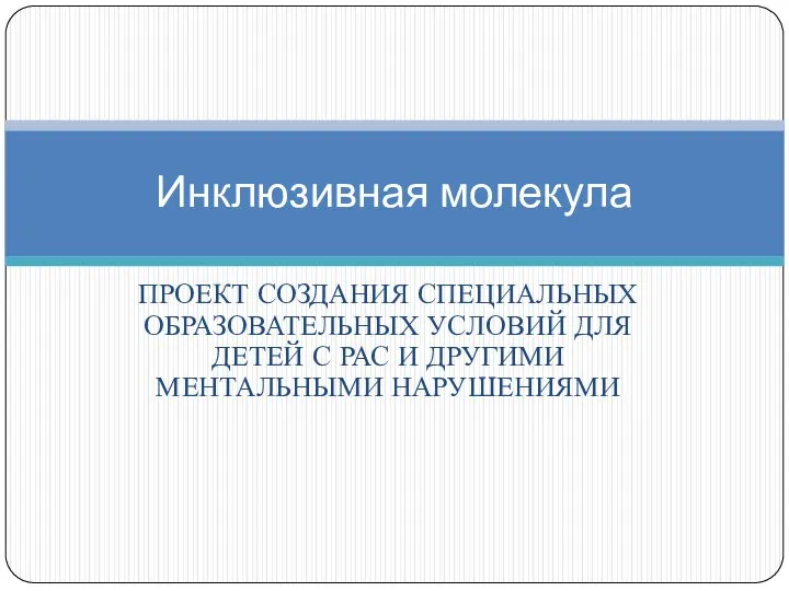 ПРОЕКТ СОЗДАНИЯ СПЕЦИАЛЬНЫХ ОБРАЗОВАТЕЛЬНЫХ УСЛОВИЙ ДЛЯ ДЕТЕЙ С РАС И ДРУГИМИ МЕНТАЛЬНЫМИ НАРУШЕНИЯМИ Инклюзивная молекула