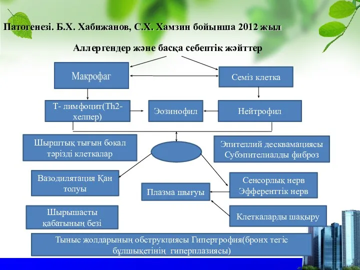 Патогенезі. Б.Х. Хабижанов, С.Х. Хамзин бойынша 2012 жыл Аллергендер және басқа себептік