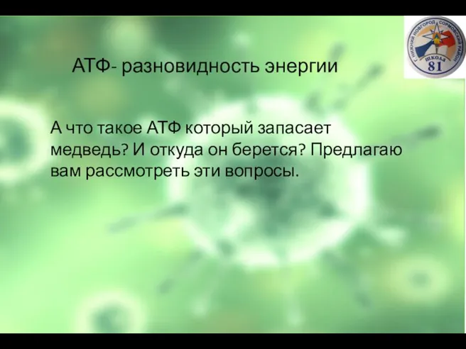 АТФ- разновидность энергии А что такое АТФ который запасает медведь? И откуда