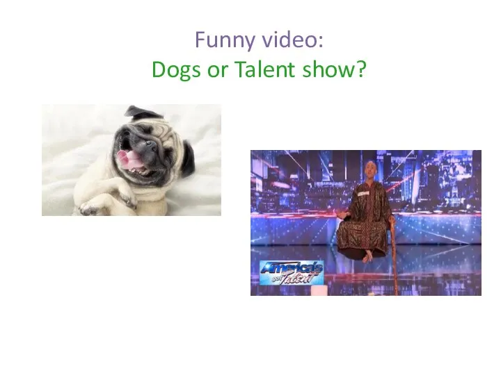 Funny video: Dogs or Talent show?