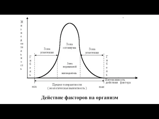 Действие факторов на организм