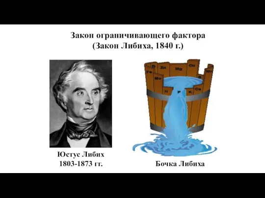 Закон ограничивающего фактора (Закон Либиха, 1840 г.) Юстус Либих 1803-1873 гг. Бочка Либиха