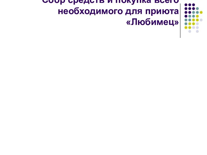 Сбор средств и покупка всего необходимого для приюта «Любимец»