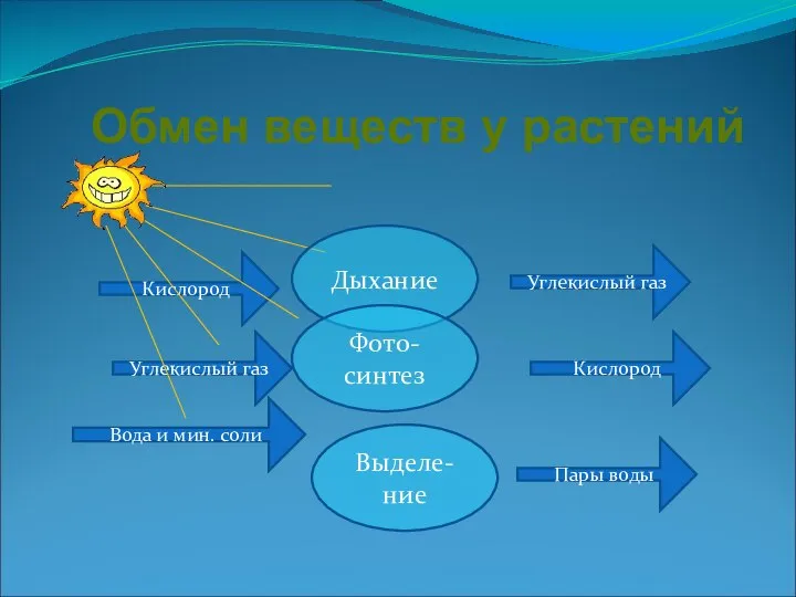 Обмен веществ у растений Углекислый газ Кислород Вода и мин. соли Углекислый