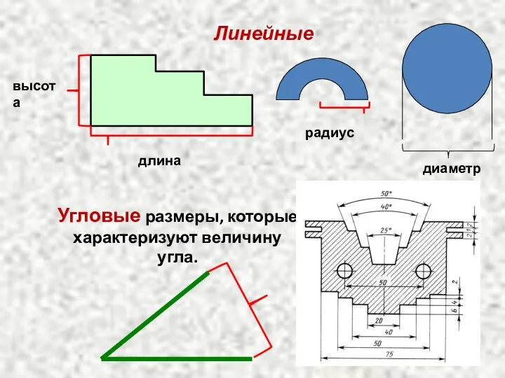 высота длина Линейные Угловые размеры, которые характеризуют величину угла. радиус