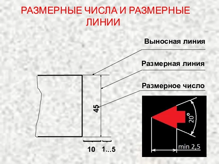 Выносная линия 10 Размерная линия 1...5 45 Размерное число РАЗМЕРНЫЕ ЧИСЛА И РАЗМЕРНЫЕ ЛИНИИ