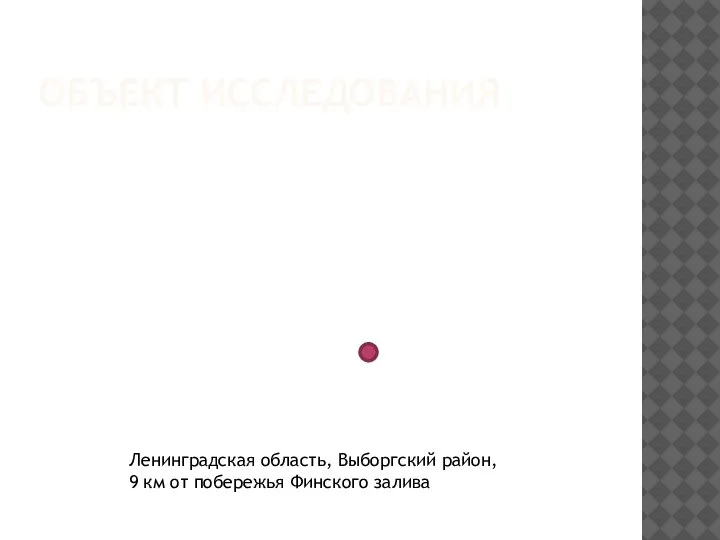 ОБЪЕКТ ИССЛЕДОВАНИЯ Ленинградская область, Выборгский район, 9 км от побережья Финского залива